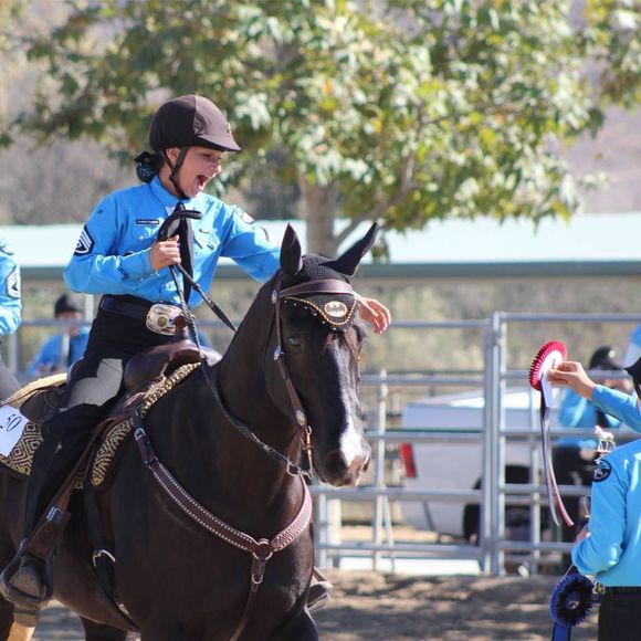 Meet your Posher, Julie - Picture 1 of 1